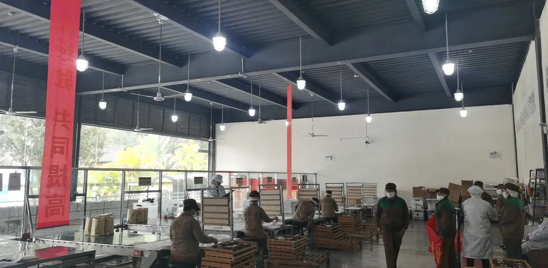 精益求精&middot;鑄造品質｜六大茶山第十四屆技術大比武圓滿完成